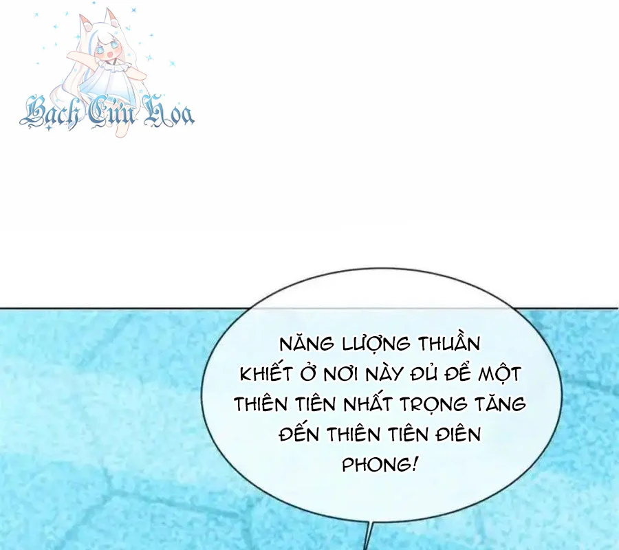 Chapter 708