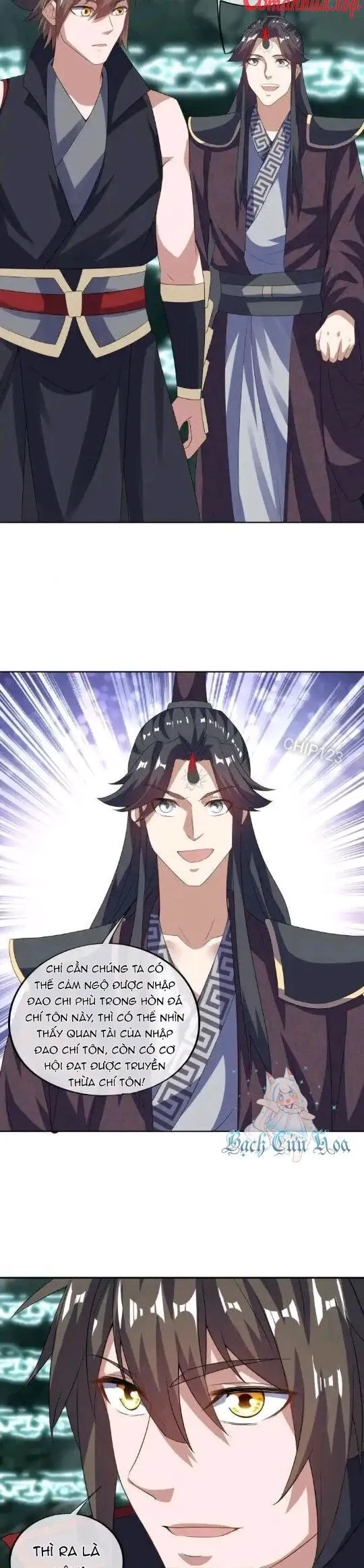 Chapter 667