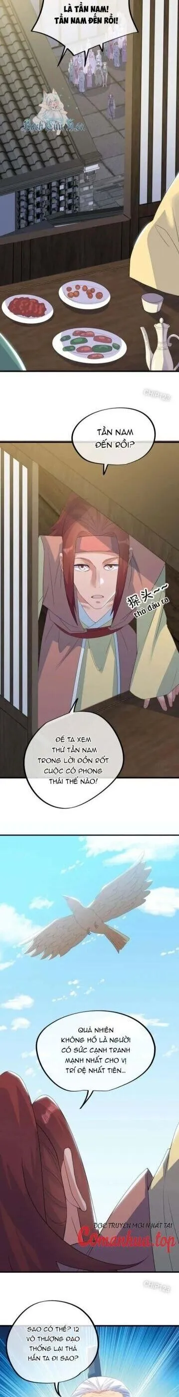 Chapter 656