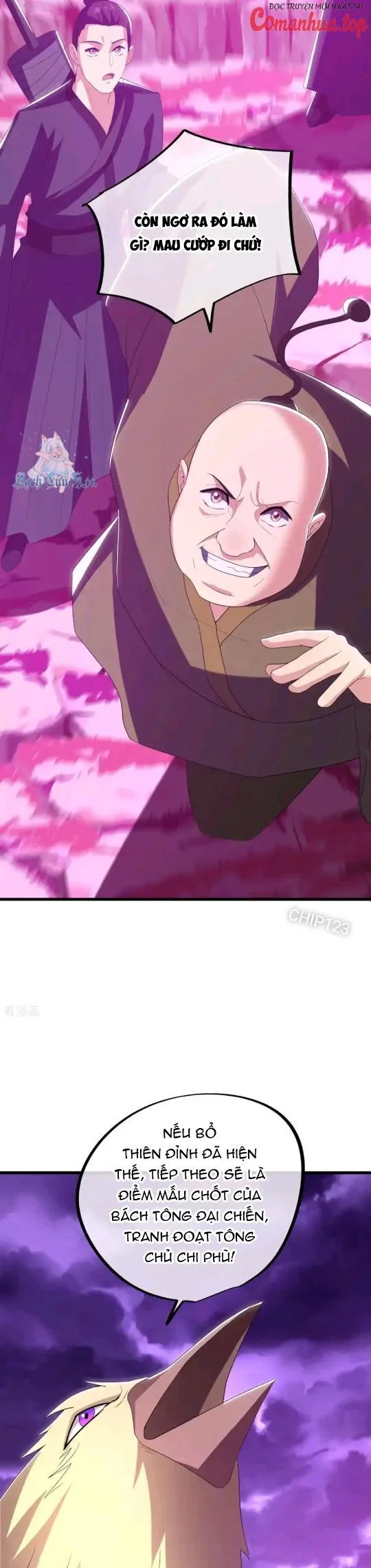 Chapter 651