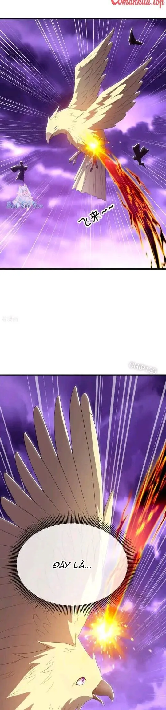 Chapter 651