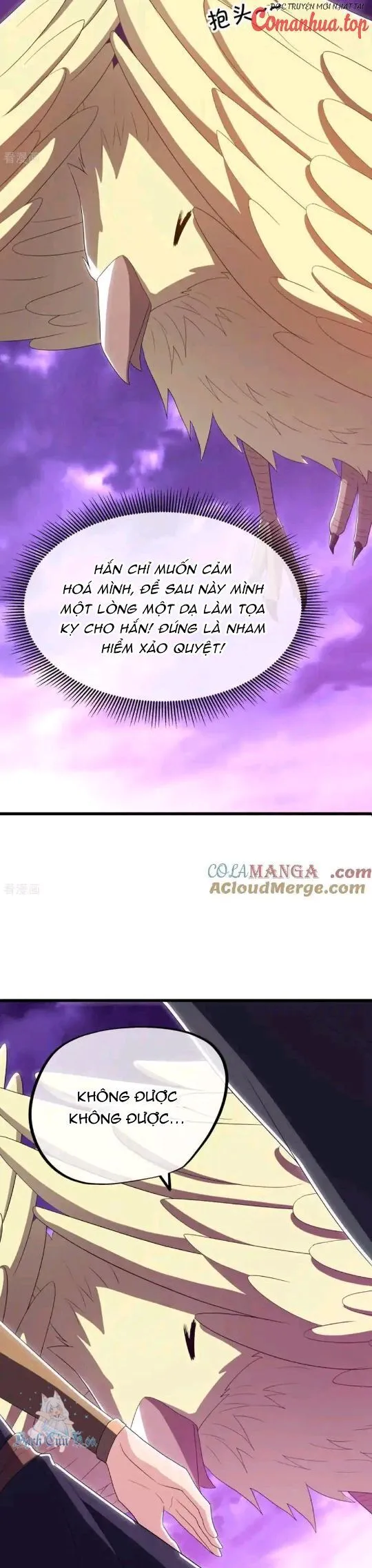 Chapter 651