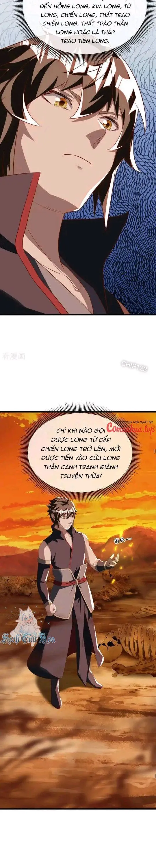 Chapter 636