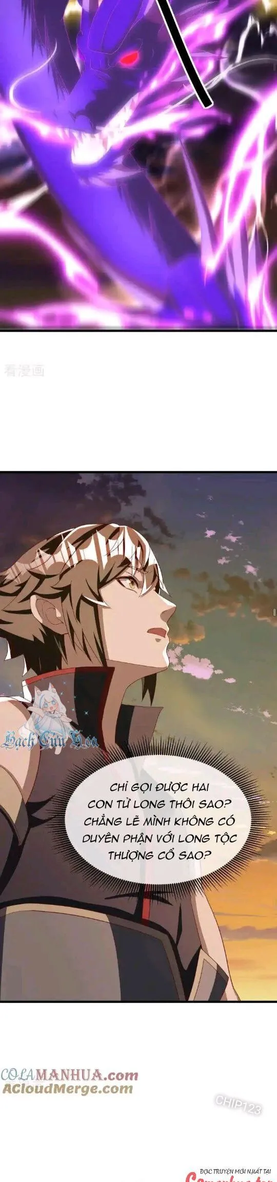 Chapter 636