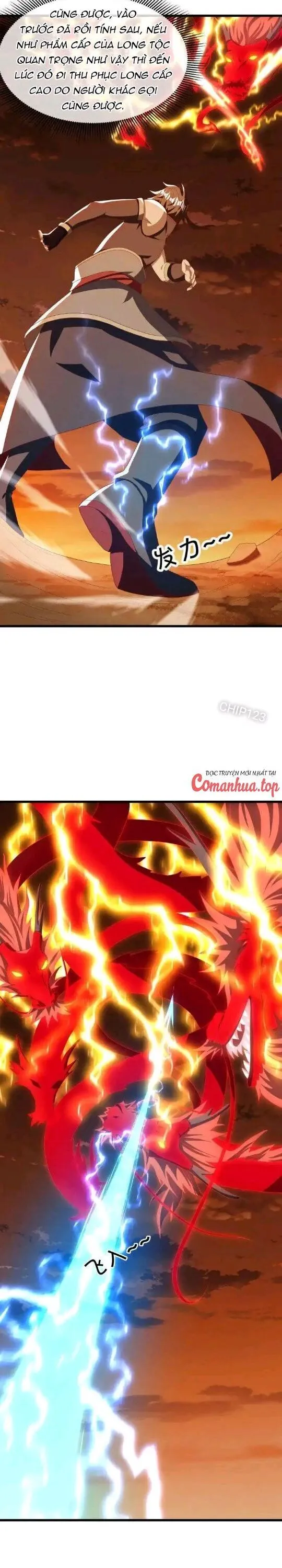 Chapter 636