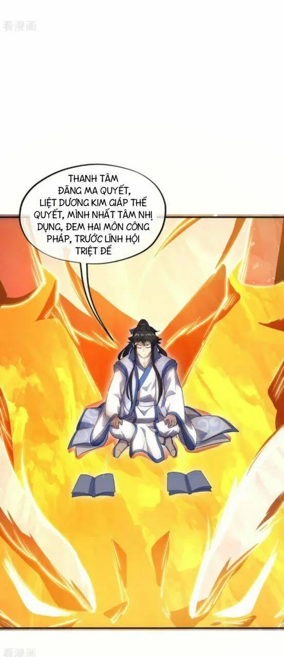 Chapter 236