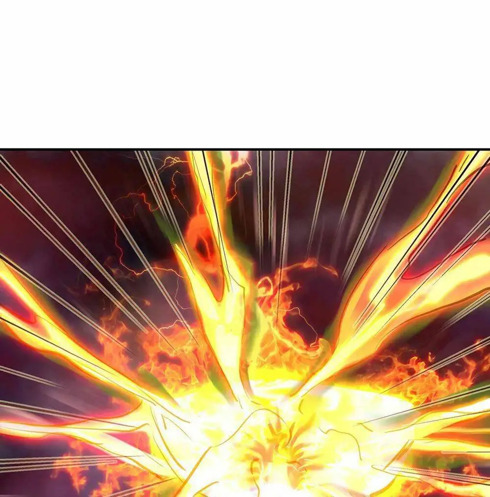 Chapter 221