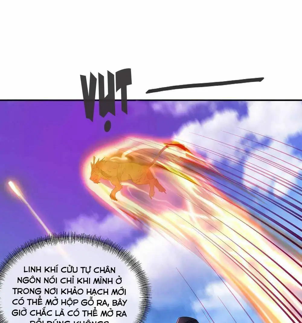 Chapter 221