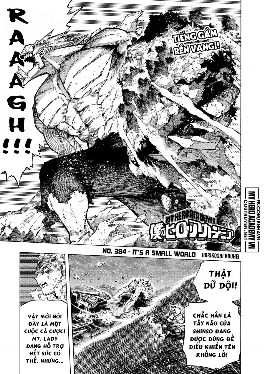 Chapter 384