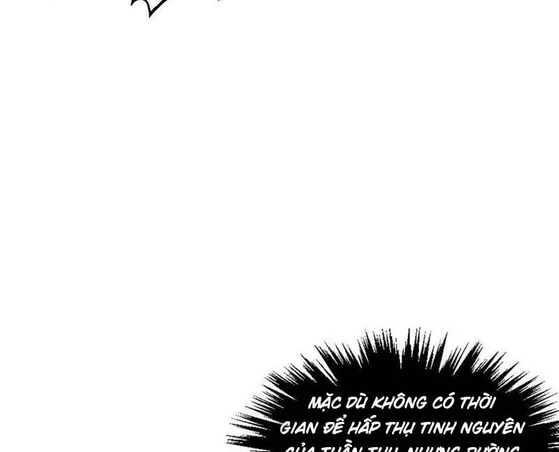 Chapter 374