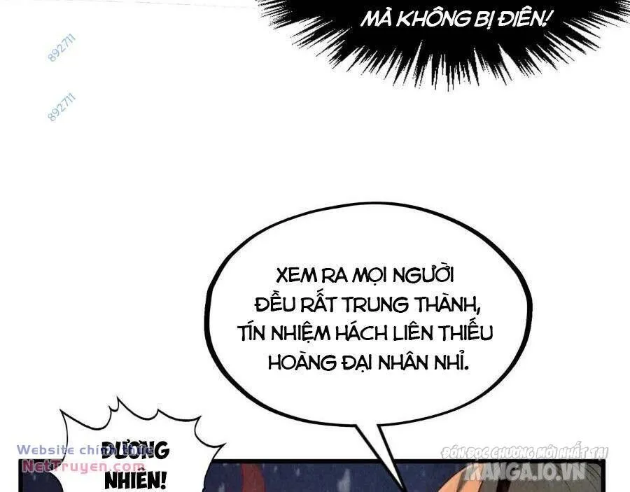 Chapter 294