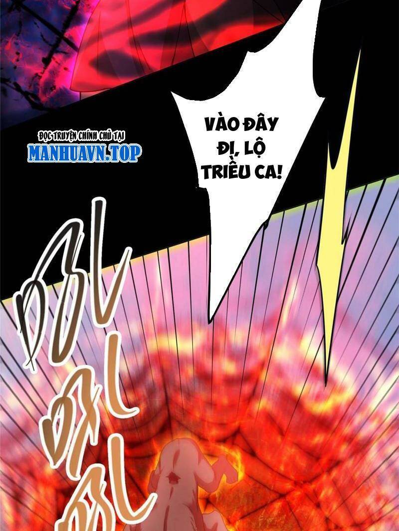 Chapter 290