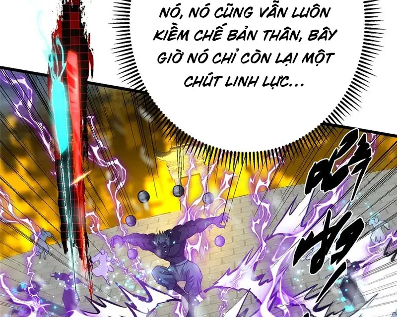 Chapter 428