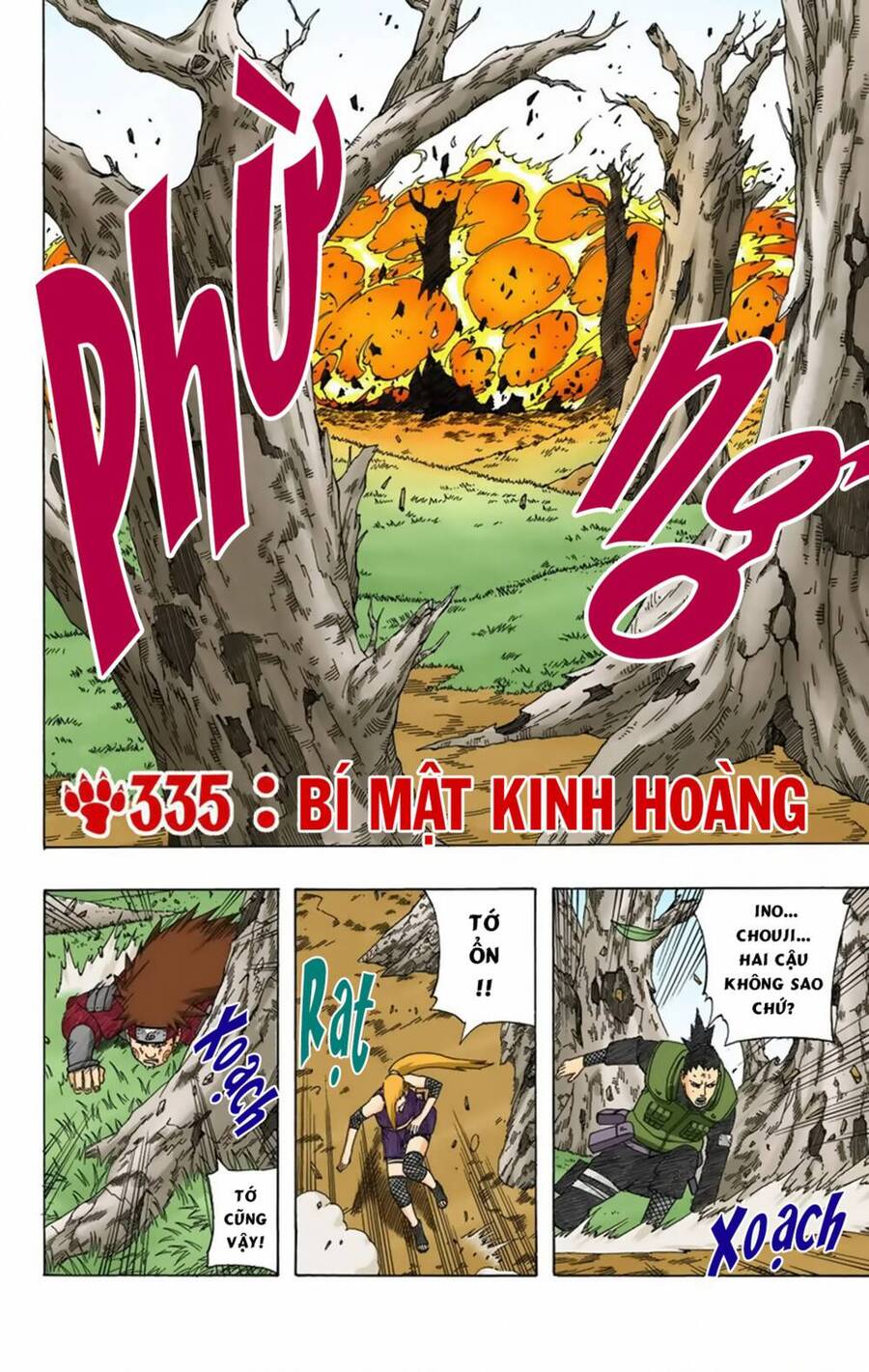 Chapter 335