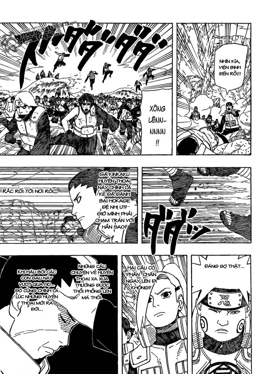 Chapter 529