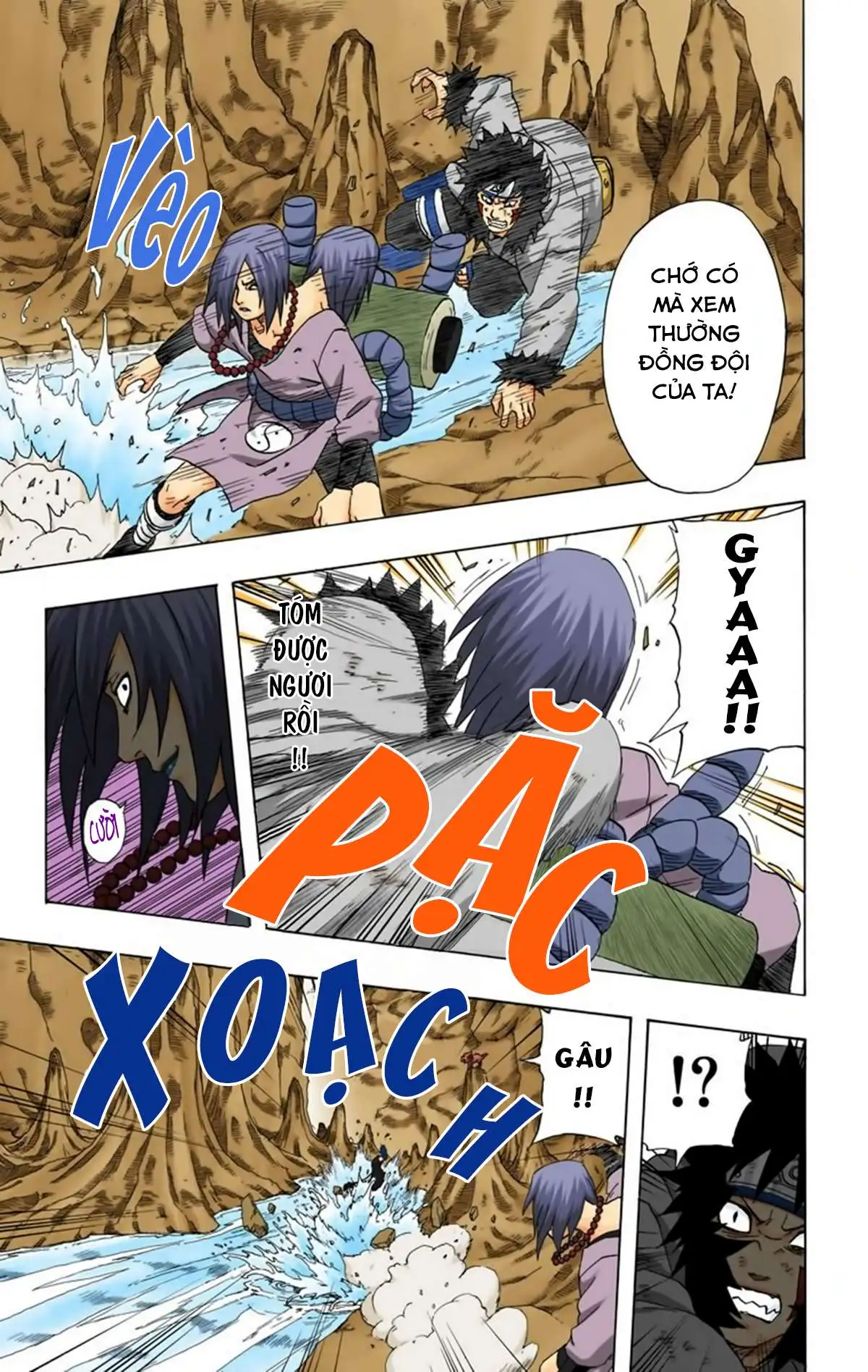 Chapter 202