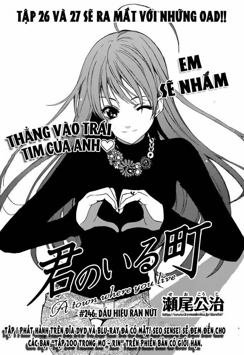 Chapter 246