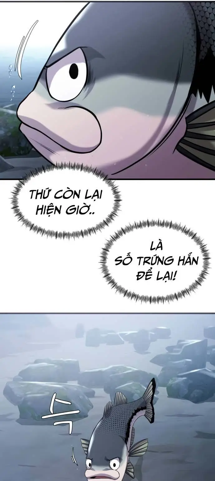 Chapter 19
