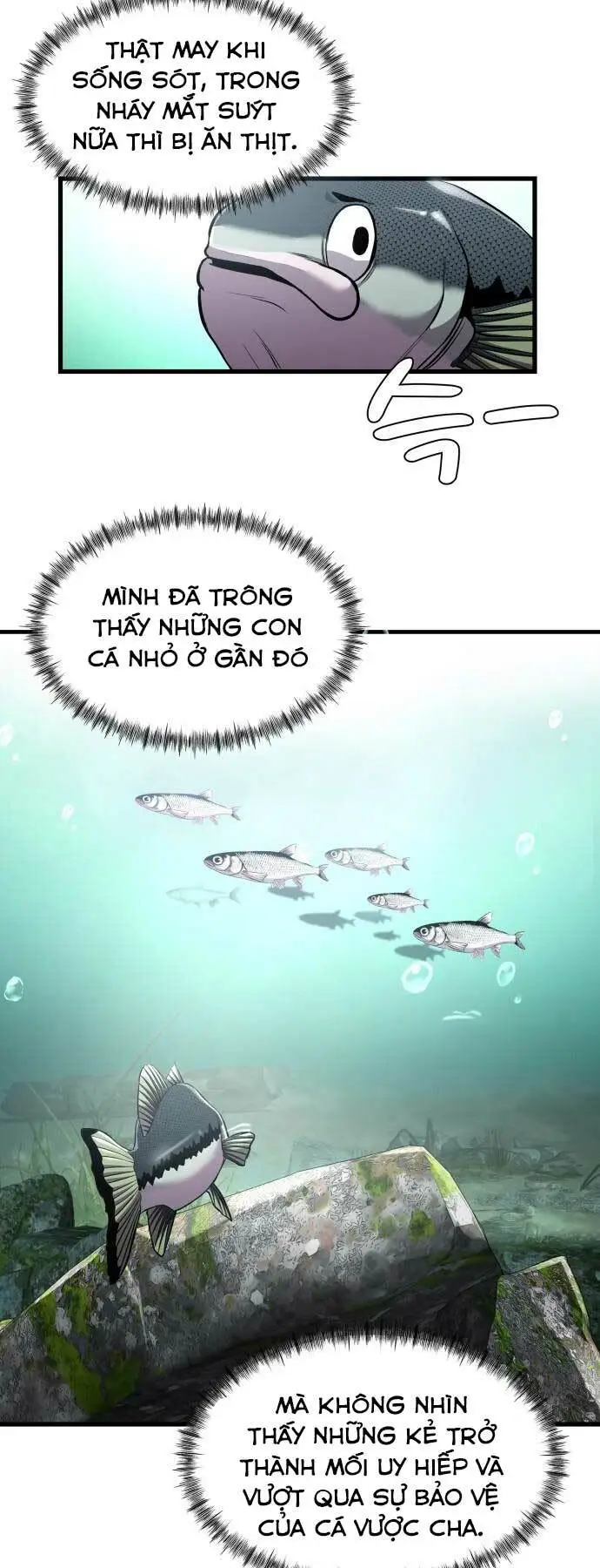 Chapter 3