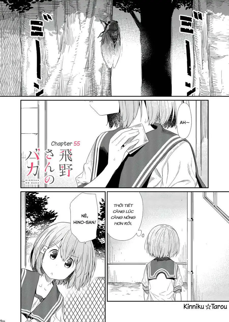 Chapter 55