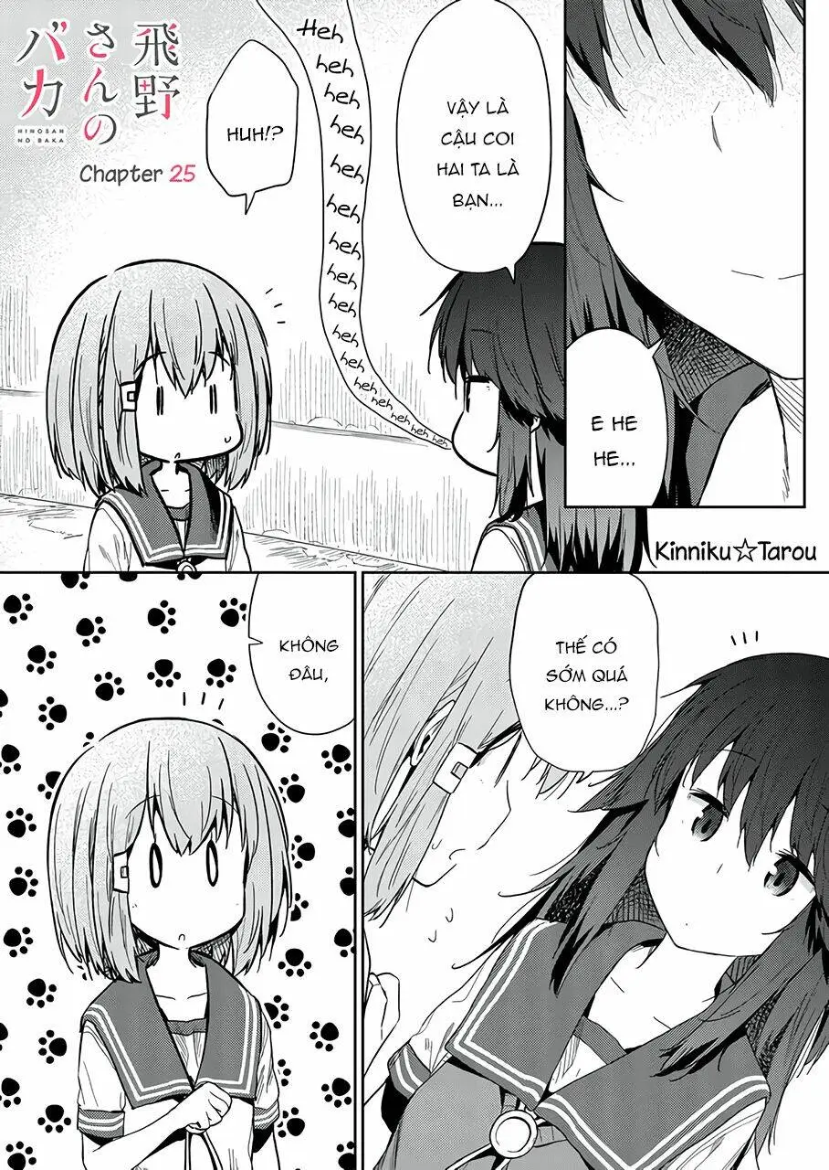 Chapter 25