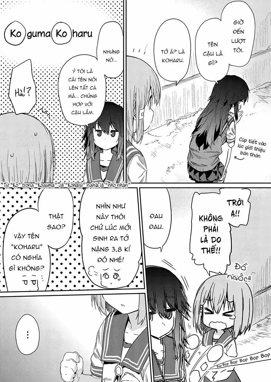 Chapter 25