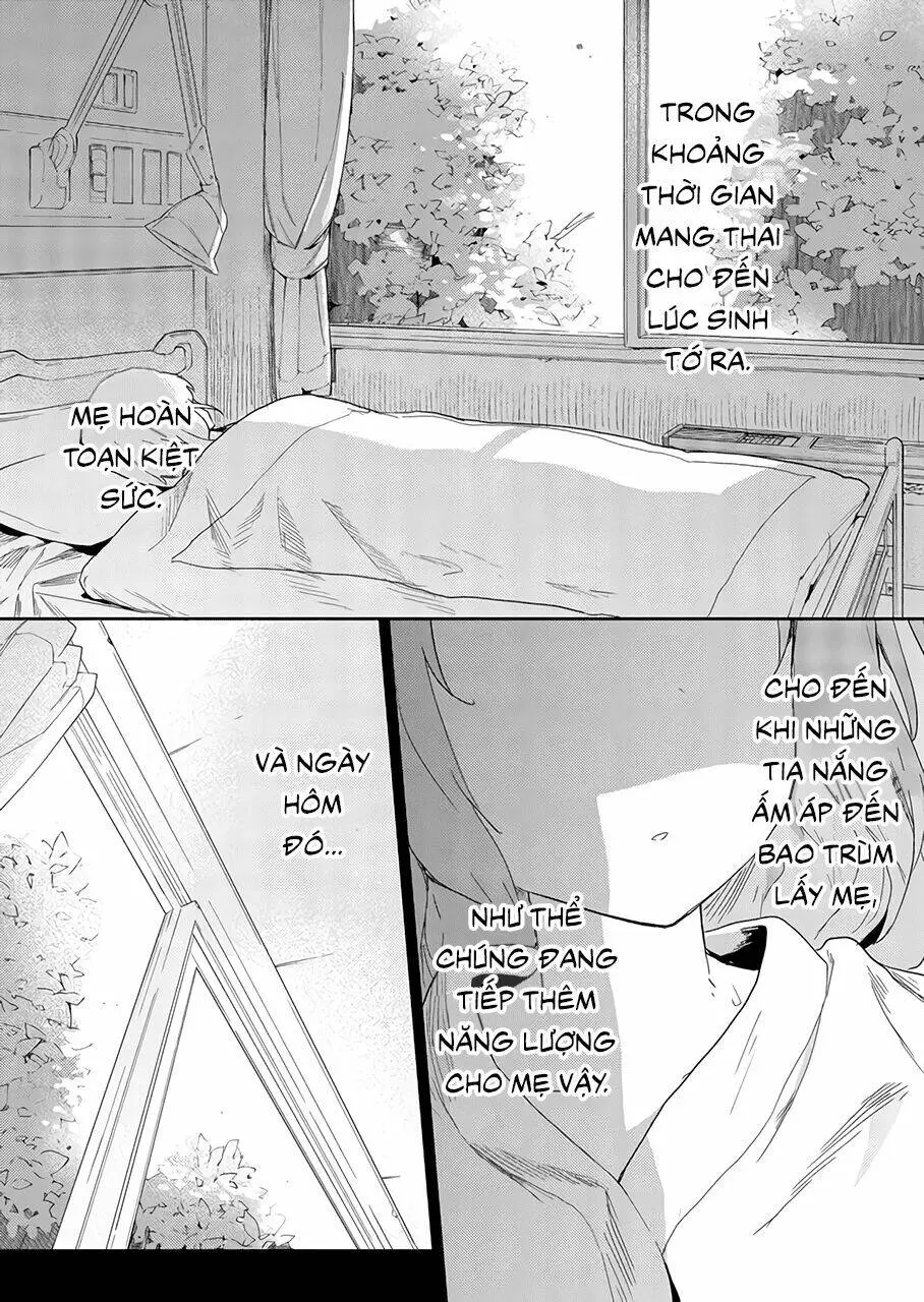 Chapter 25