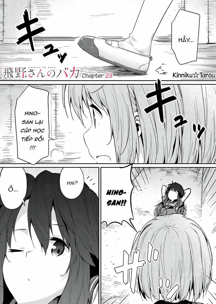 Chapter 23