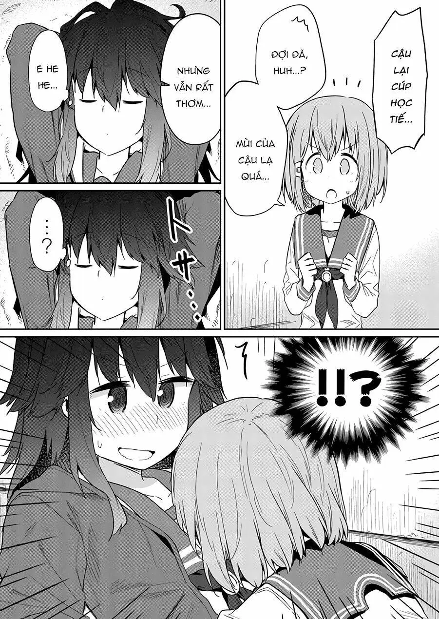 Chapter 22
