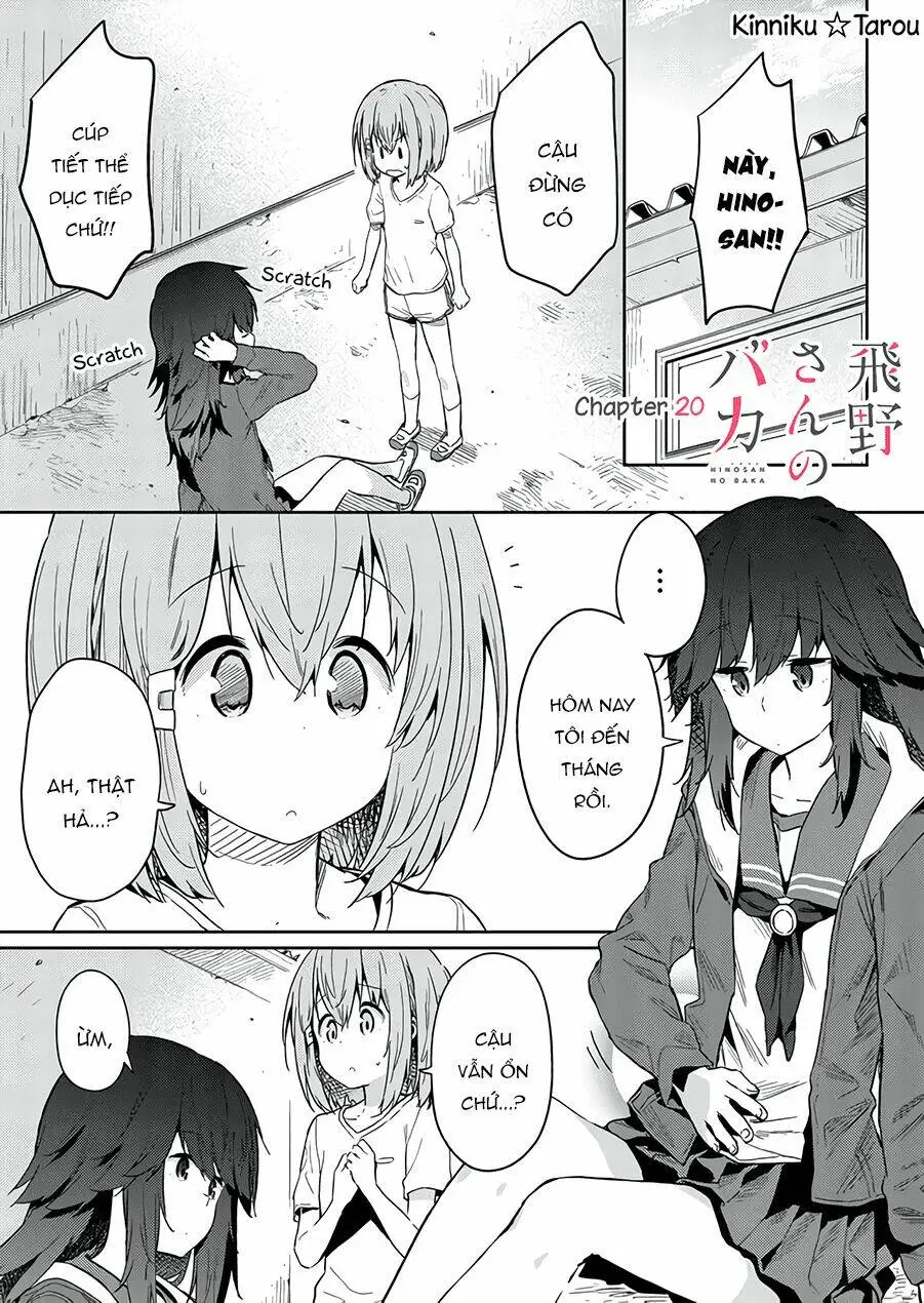 Chapter 20