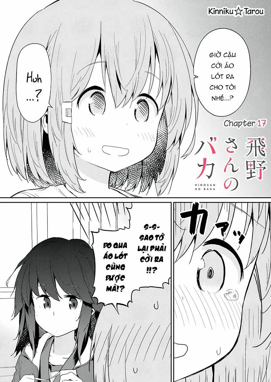 Chapter 17