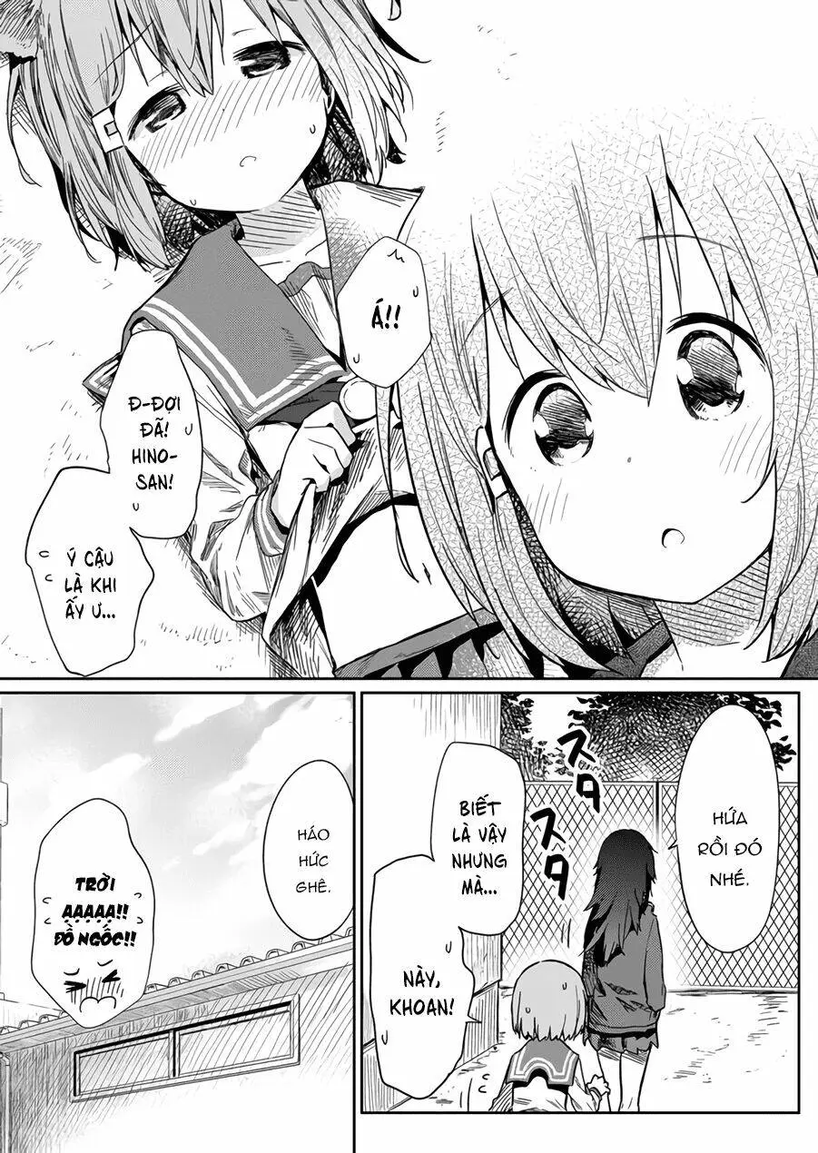 Chapter 13