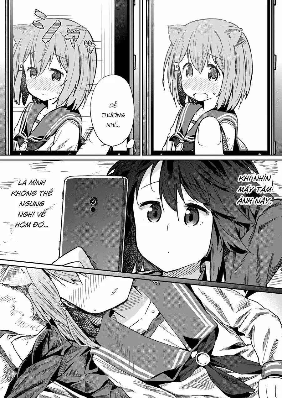 Chapter 13