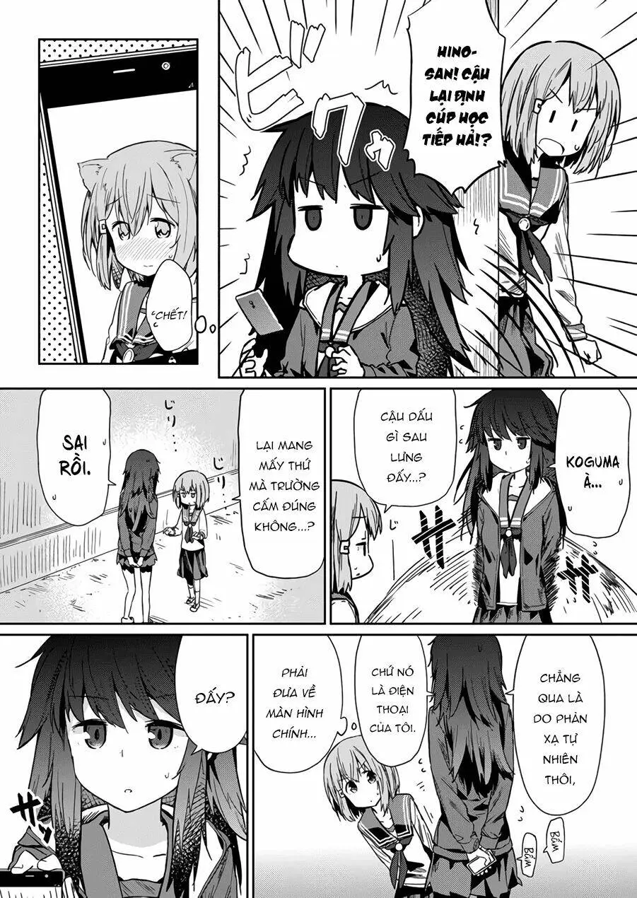 Chapter 13