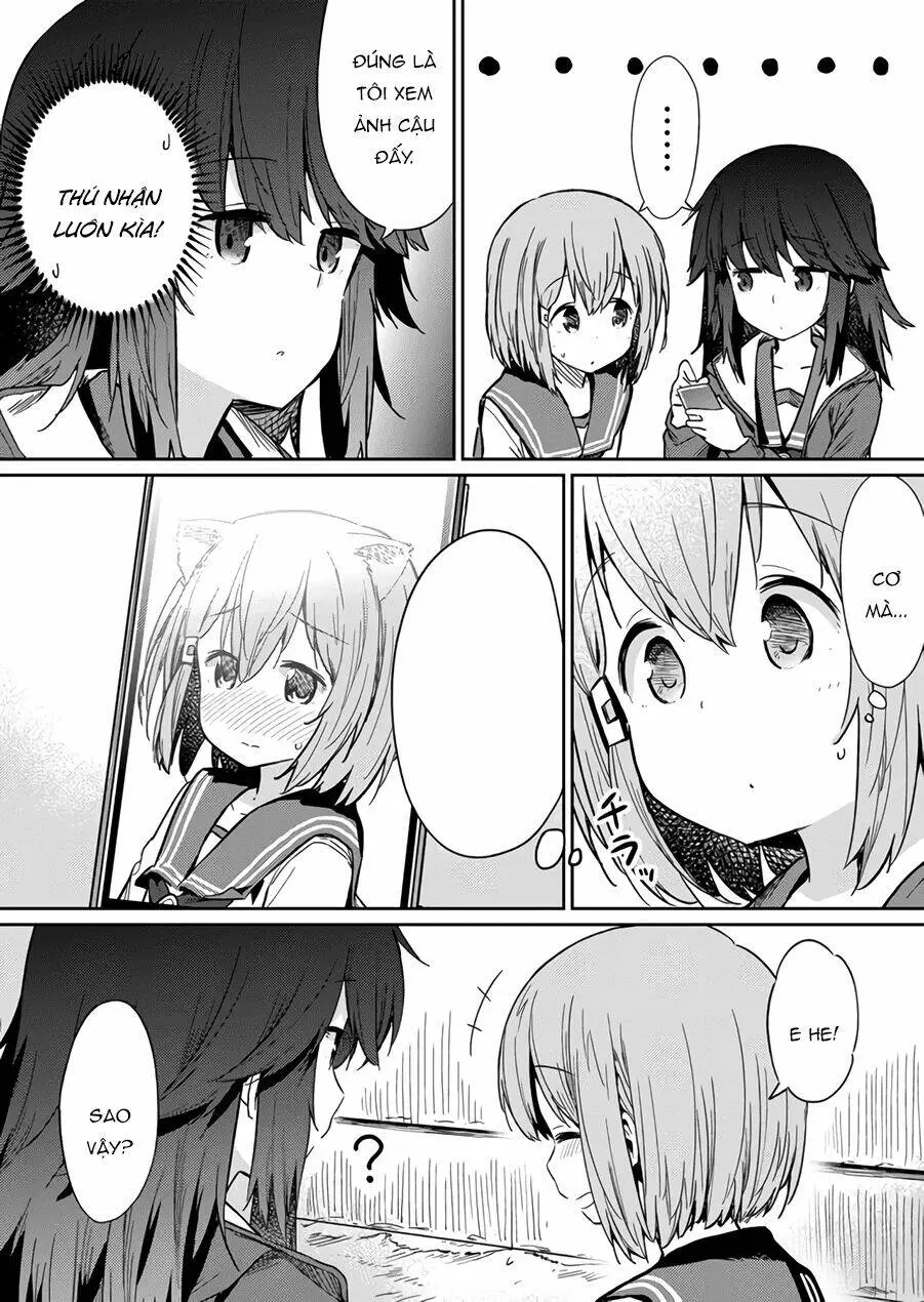 Chapter 13