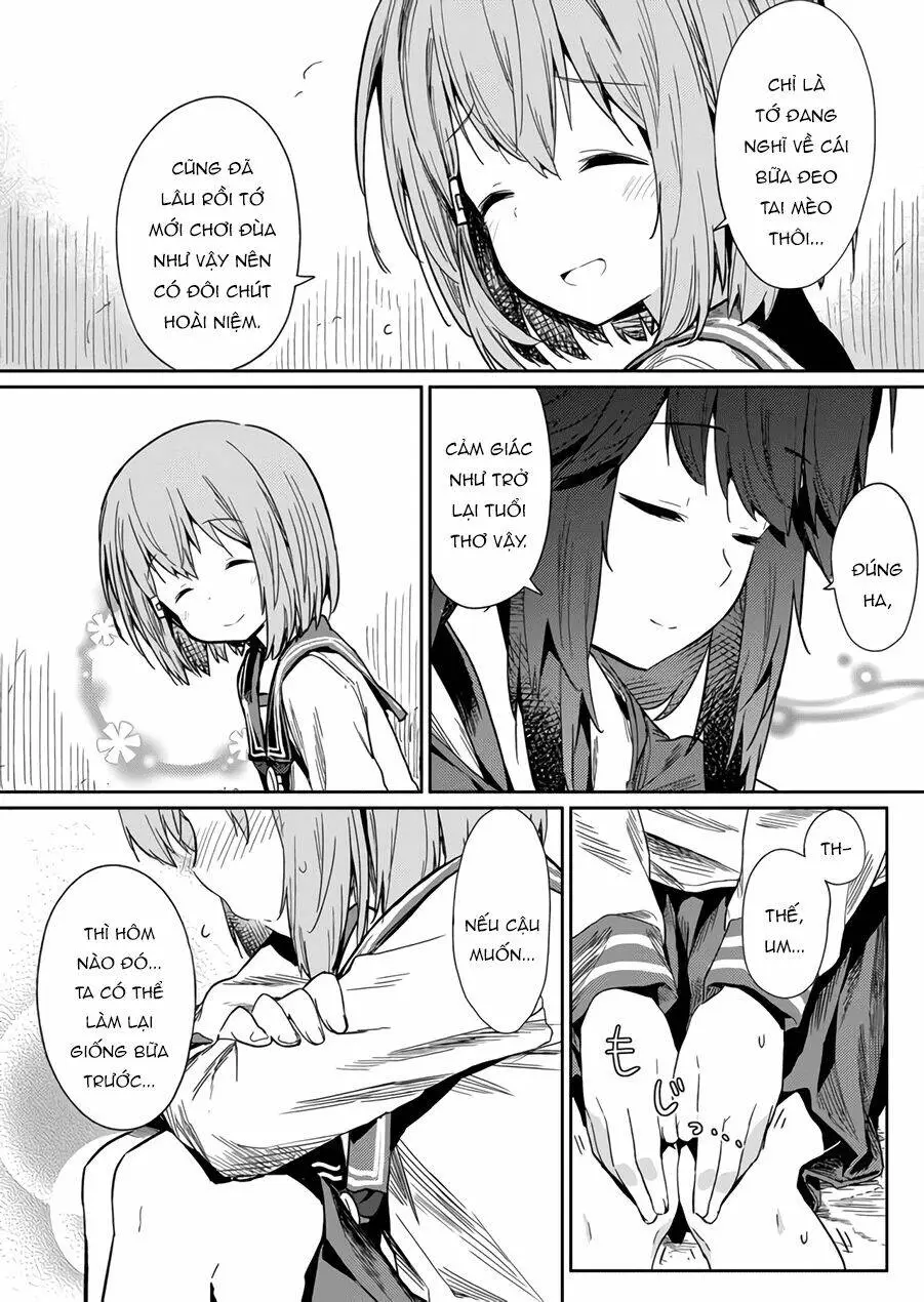 Chapter 13