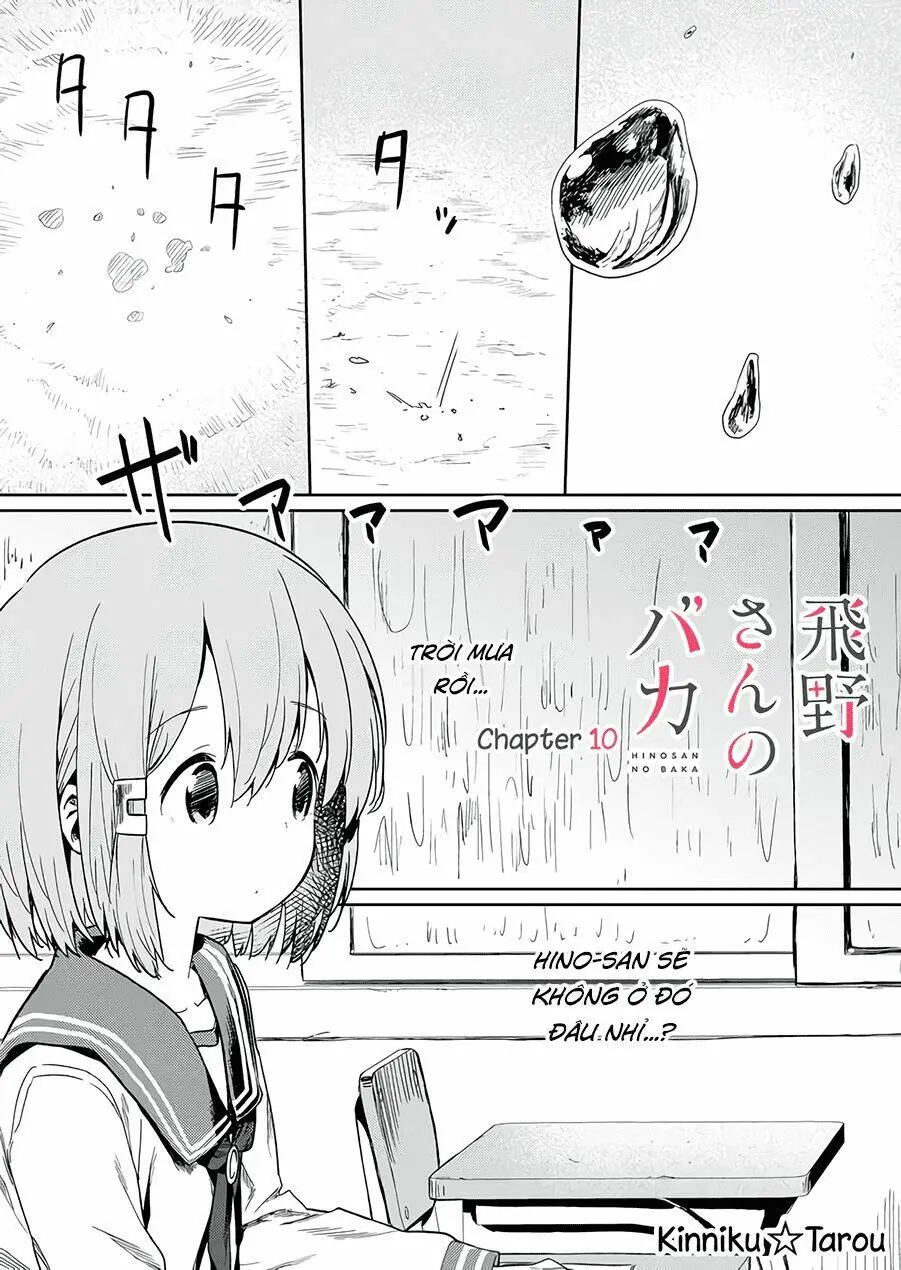 Chapter 10