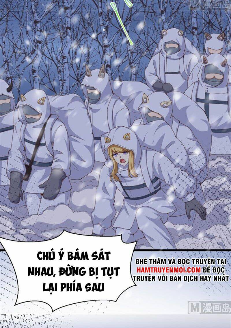 Chapter 377