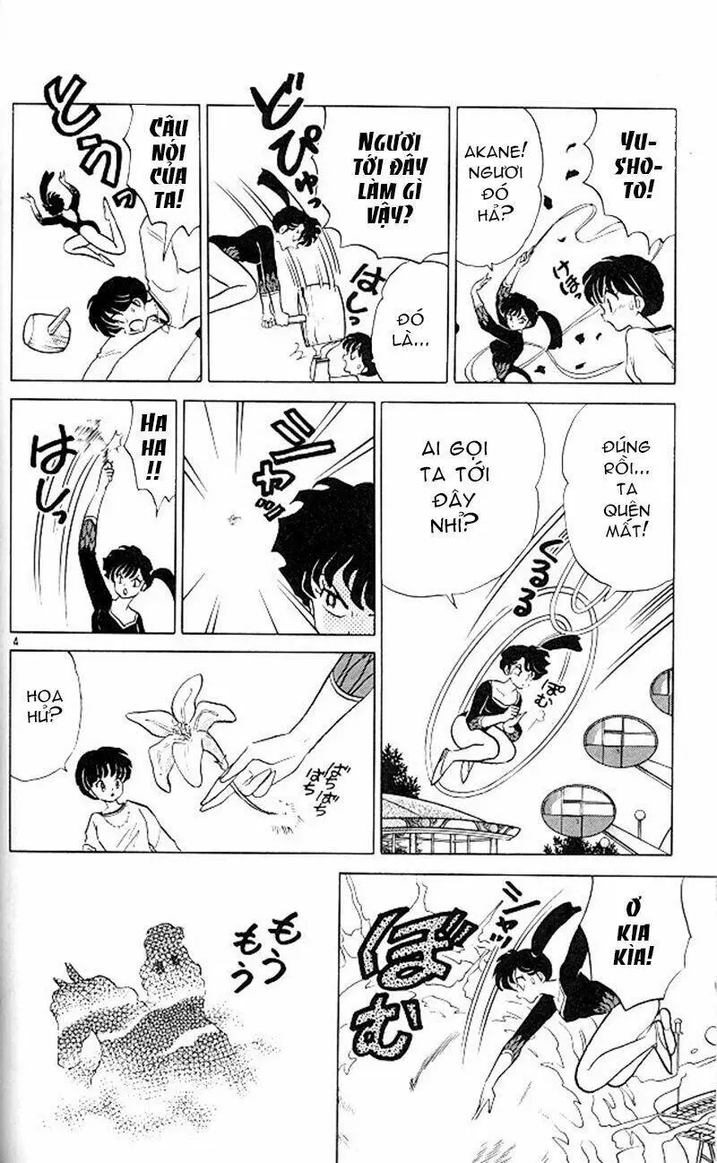 Chapter 339