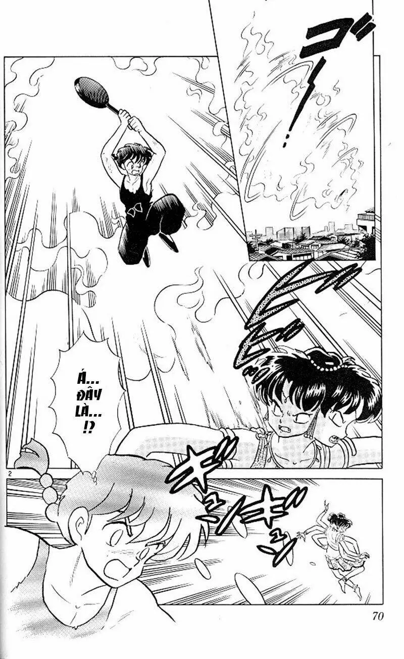 Chapter 338