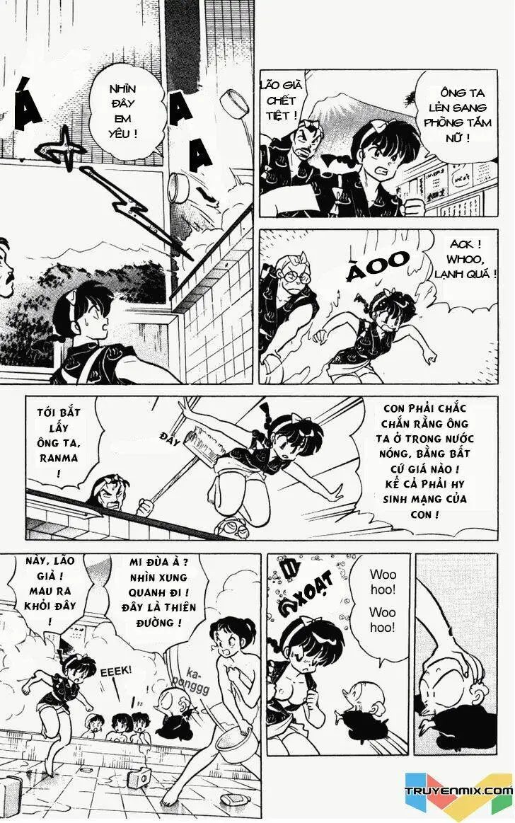 Chapter 236