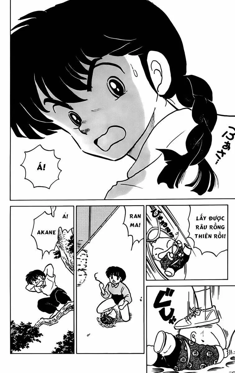 Chapter 155