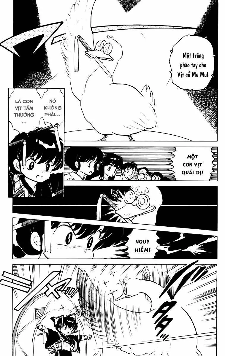 Chapter 95