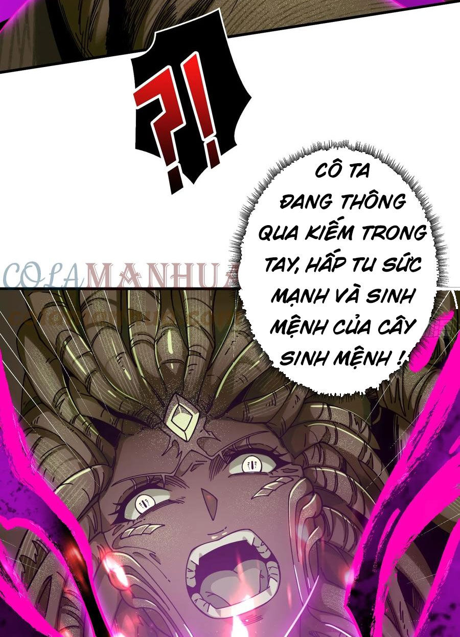 Chapter 304