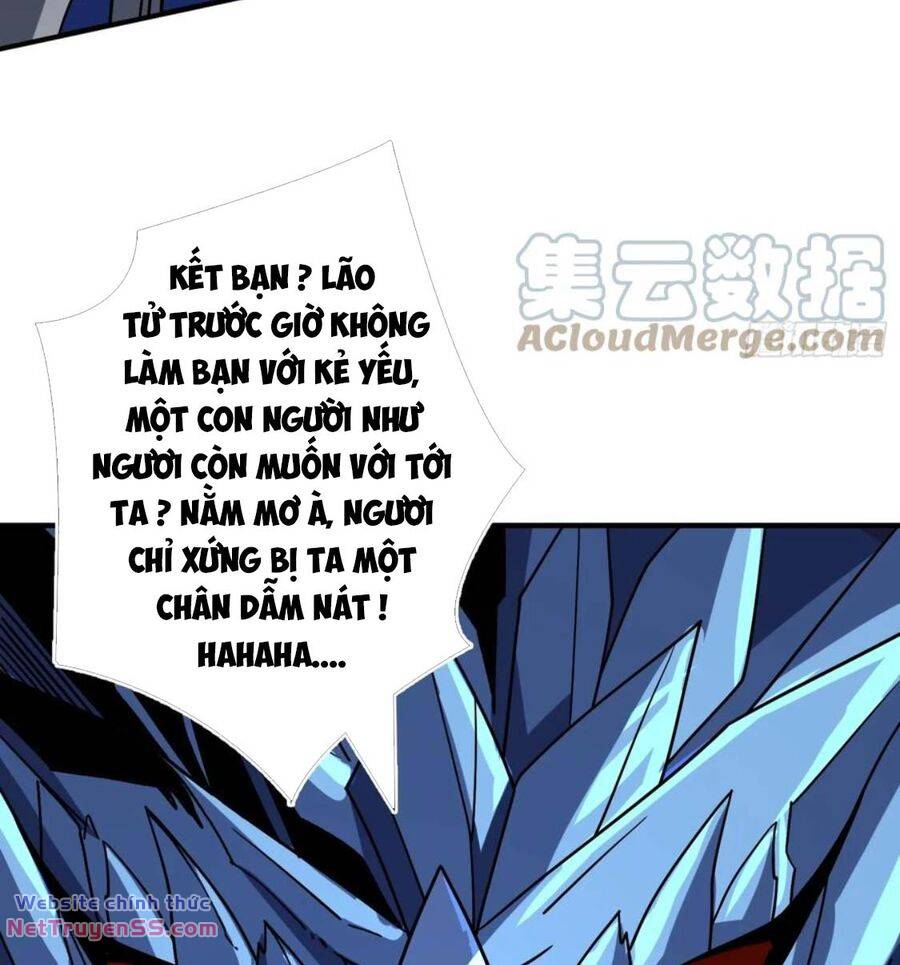 Chapter 288