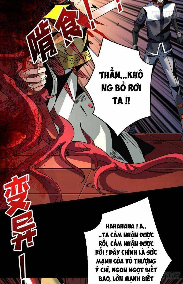 Chapter 223