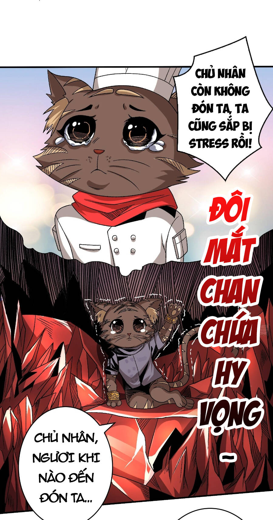 Chapter 209