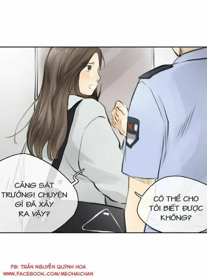 Chapter 41