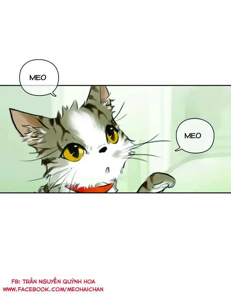 Chapter 40