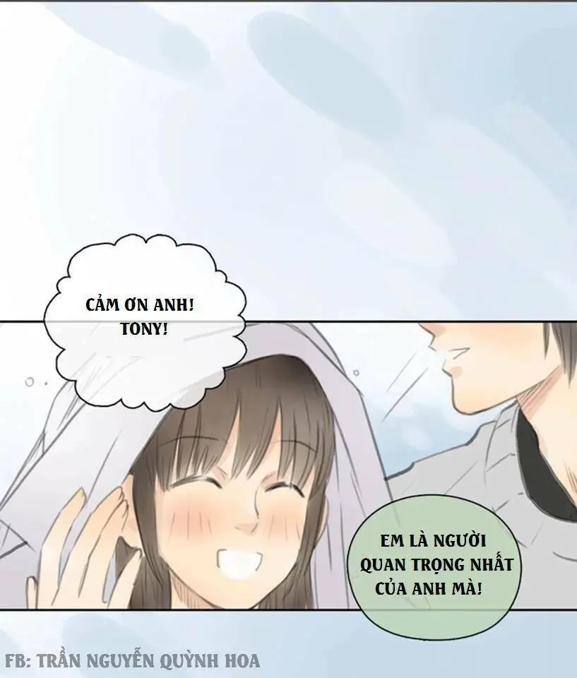 Chapter 28